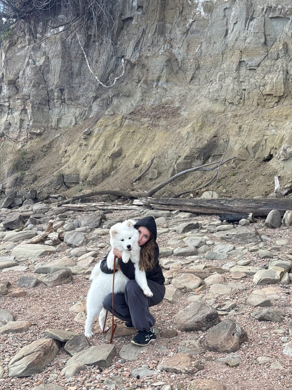 Person with white dog spotted at rocky cliff near Noviy
