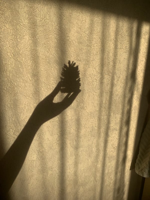 Person documents decorative mosaic objects and shadows in Izhevsk