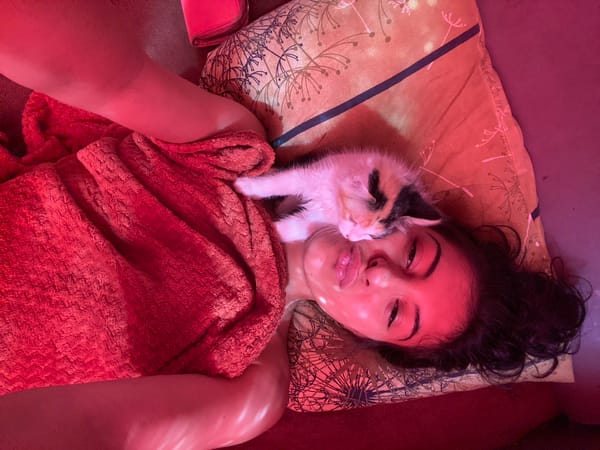Person and kitten rest together under red light