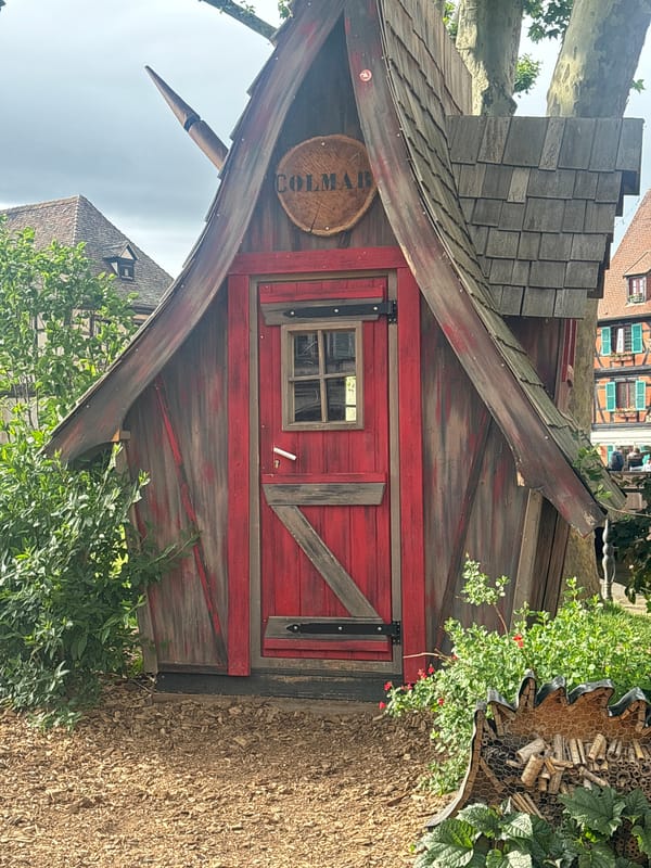 Tourist documents historic Colmar architecture and canals during afternoon walk