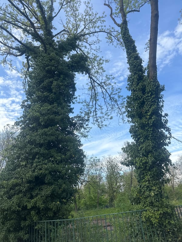 Clear skies photographed above Strasbourg park scene
