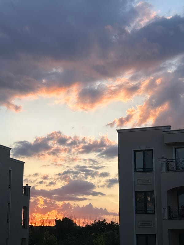 Plovdiv apartment at golden hour: clouds, interiors, and a blooming Kalanchoe