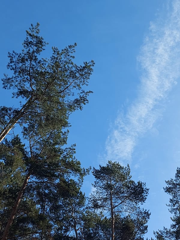Morning life documented across Chaikovsky during spring snowmelt