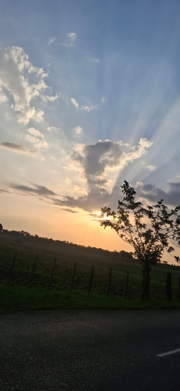 Sunset observed through clouds and trees near Vallecito, Venezuela