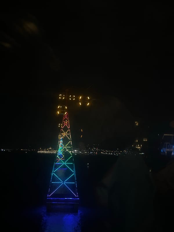 Couple views illuminated Nha Trang bridge and cityscape