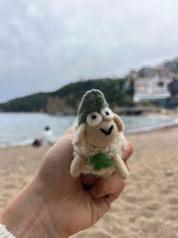 Woman enjoys ice cream, toy sheep spotted in Budva