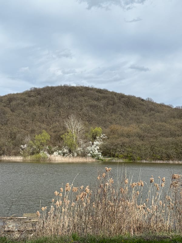 Lakeside documentation captured near Razgrad, Bulgaria