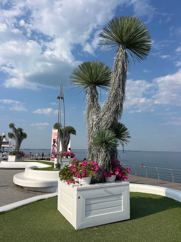 Odesa's Black Sea waterfront on a clear summer afternoon