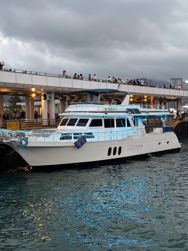 Large passenger ships docked at Hong Kong waterfront