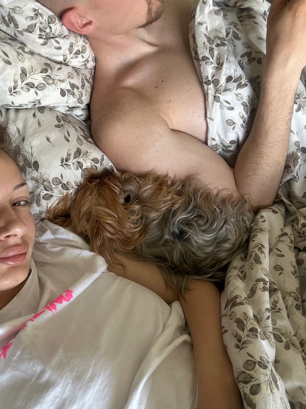 Quiet morning moment captured in Burgas bedroom