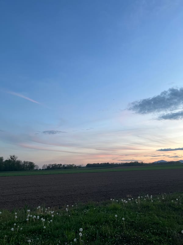 Sunset captured over rural Limersheim countryside