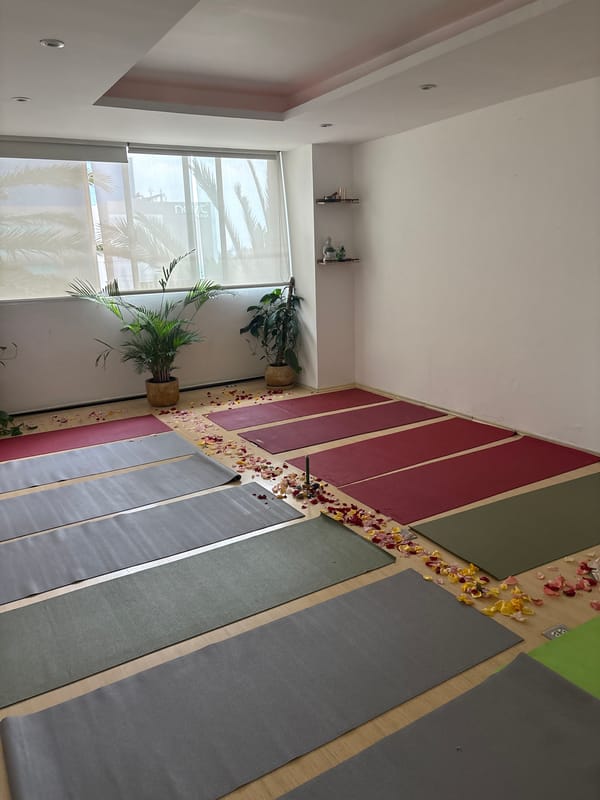 Evening walkabout captures Mexico City murals, dining, and festival