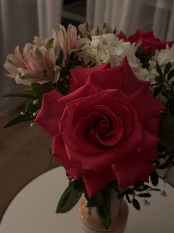 Quiet evening moments with flowers and cat in Moscow