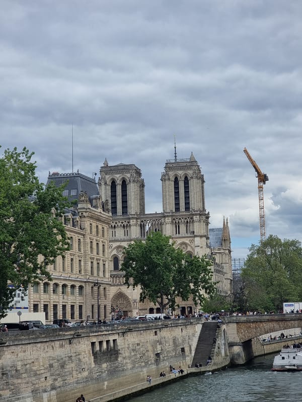 Tourists gather near Notre Dame amid ongoing construction work