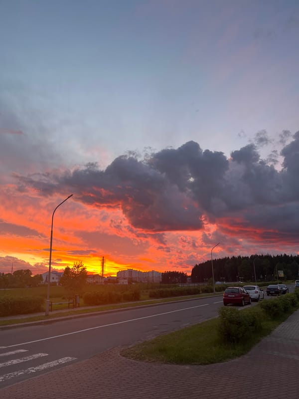 Evening scenes captured in Astravyets: street crosswalk, pets resting