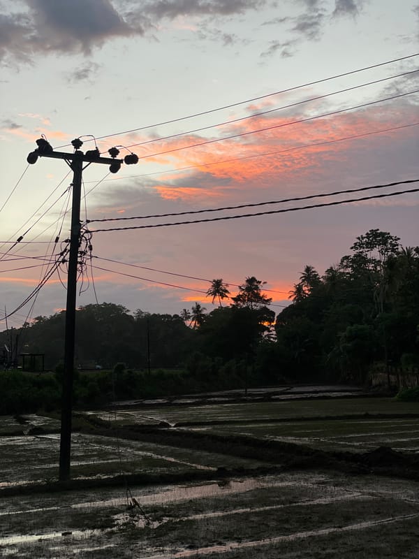 Sunset street life documented in rural Sri Lankan village