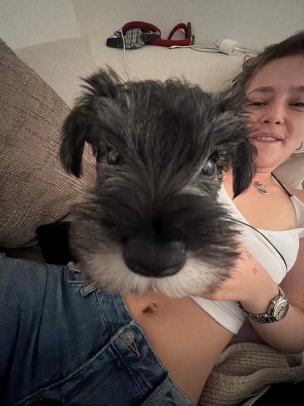 Tel Aviv residents document casual morning moments with pets, selfies