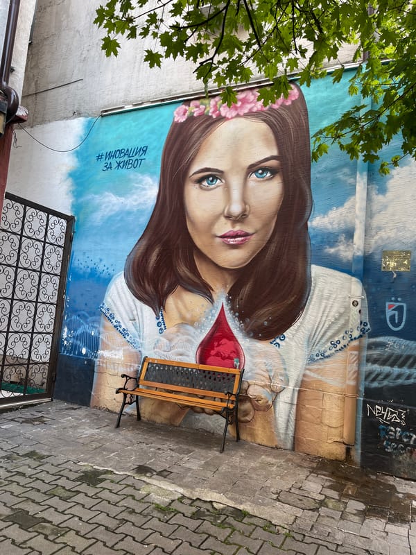 Sofia visitor documents street art and zoo animals