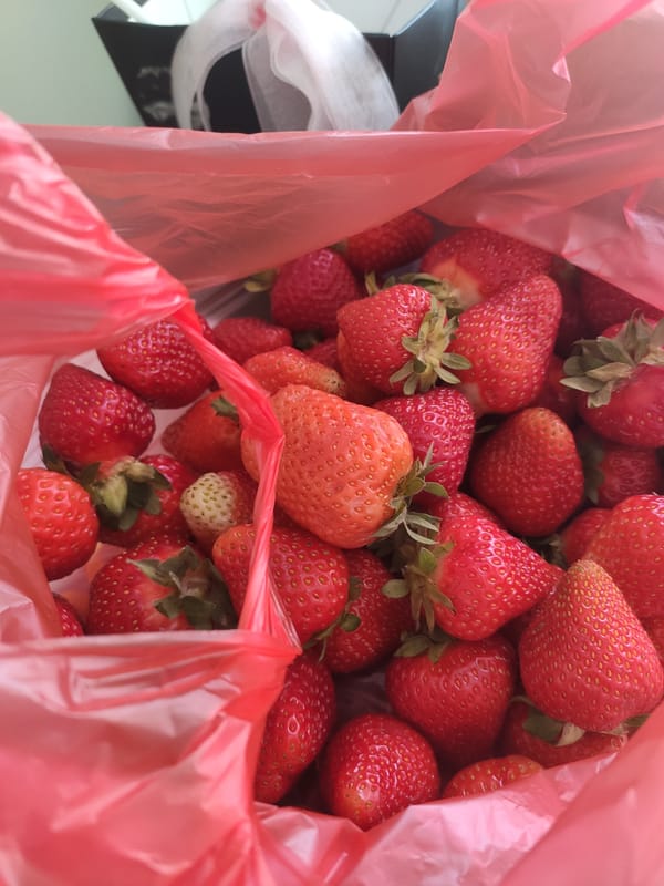 Morning nail care session with fresh strawberries in Belarus