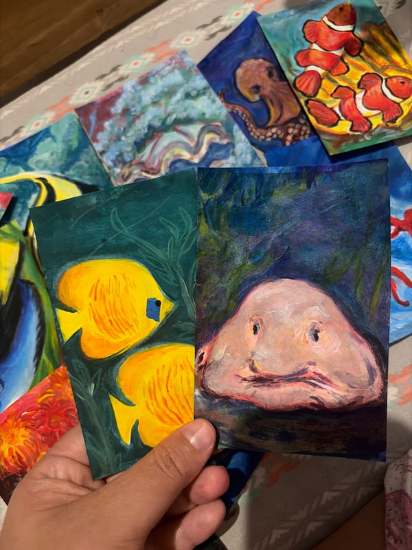Artist displays marine-themed painted cards in Ciudad Guayana