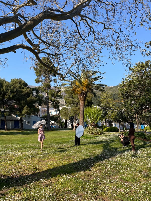 Spring afternoon moments captured in Budva: bees, daisies, chess