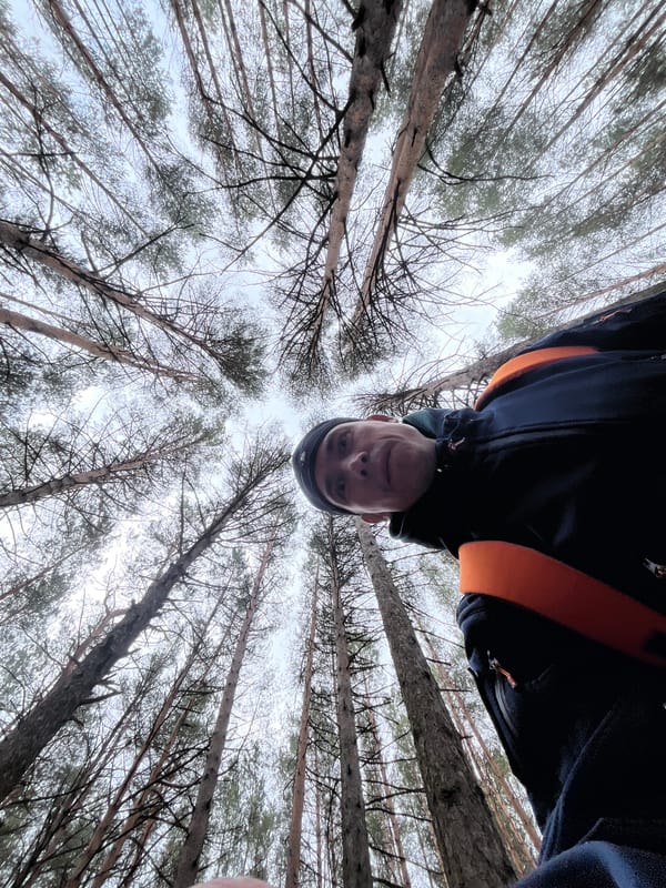 Morning forest walk documented in Chaikovsky pine woods