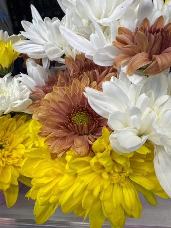 Supermarket sweep at Makro Wichit: produce, seafood, and flowers