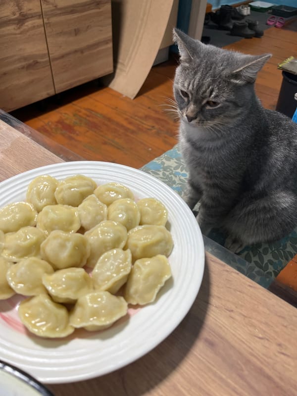 Pets and strawberries fill a summer afternoon in Nizhny Tagil