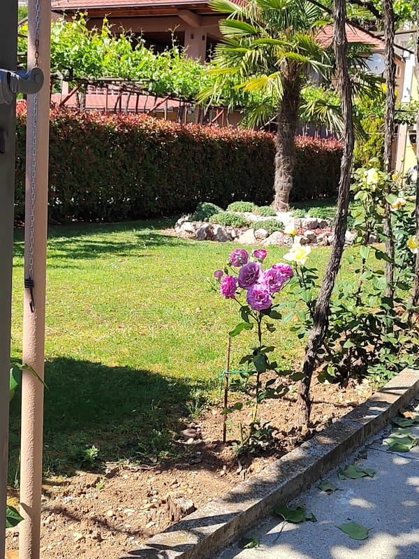 Ordinary residential and street scenes documented in Podgorica