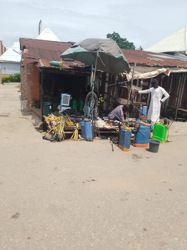 Commercial street activity in Serti, Nigeria