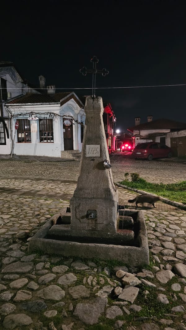 Evening documentation of Karlovo Bulgaria landmarks and street scenes