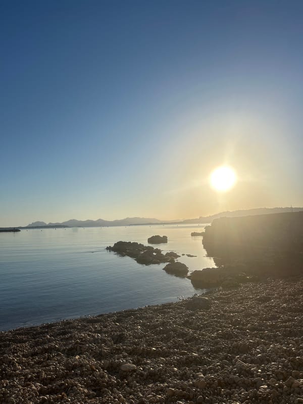 Woman takes selfies with Pomeranian on sunny Antibes beach