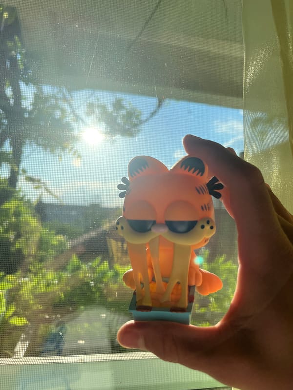 Sofia collector documents personal figurines and memorabilia collection