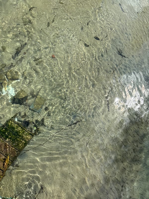 Clear shallow waters observed with wooden dock in northern Greece