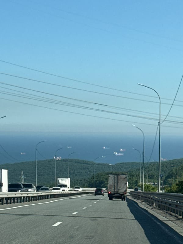 Morning traffic flows on elevated Vladivostok highway overlooking coastline