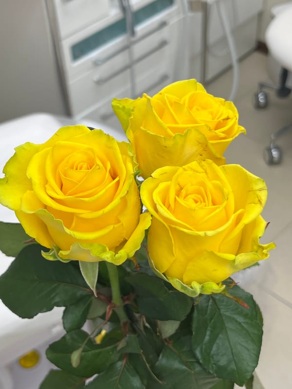 Yellow roses bloom in Neftekamsk dental office