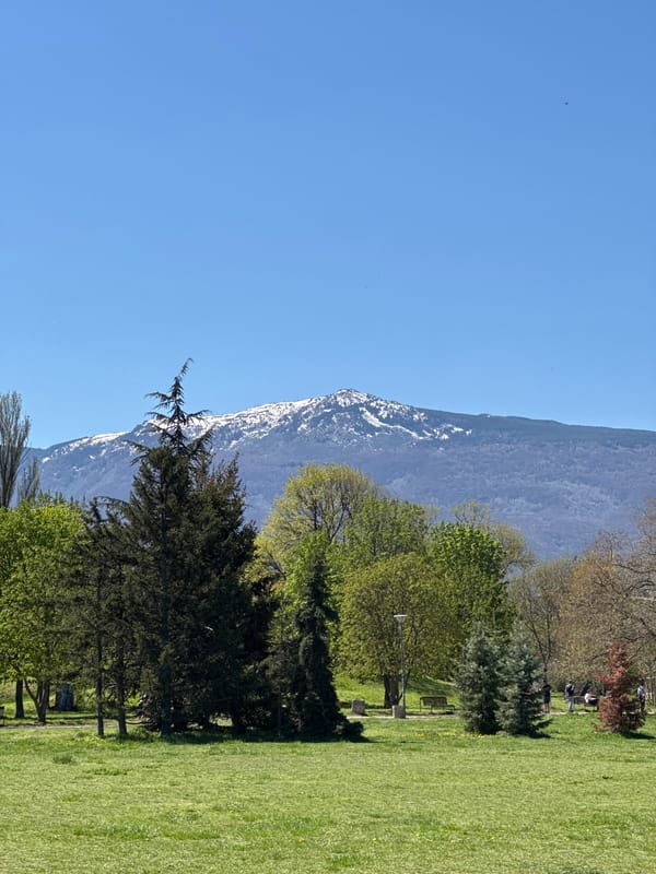 Mountain landscape with snow-capped peaks documented under clear skies