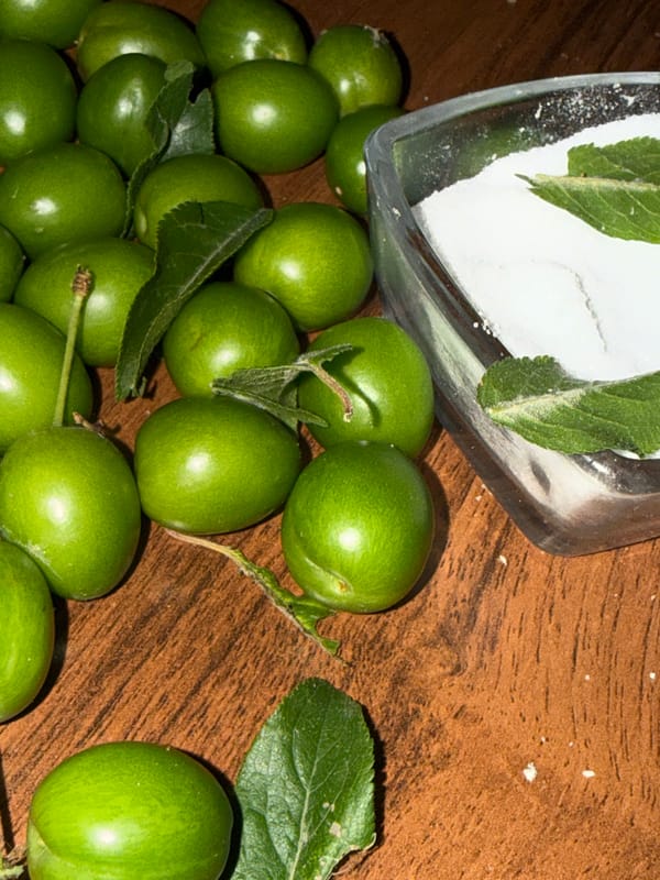 Witness documents fruits, landscapes, rain on overcast June afternoon