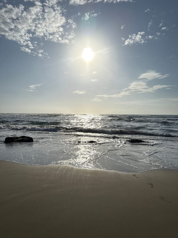 Sunny beach day documented in Cabarete, Dominican Republic