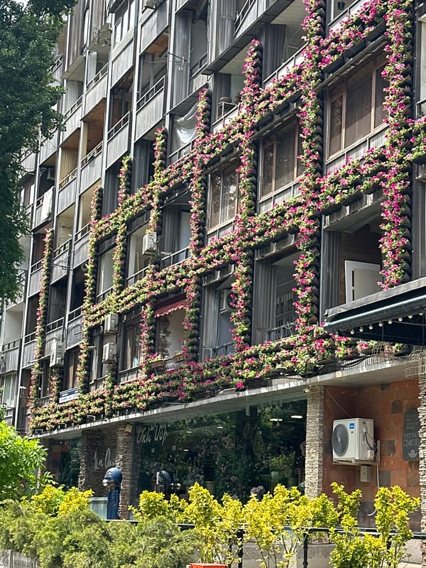 Everyday street scenes captured in flower-decorated Yerevan neighborhood