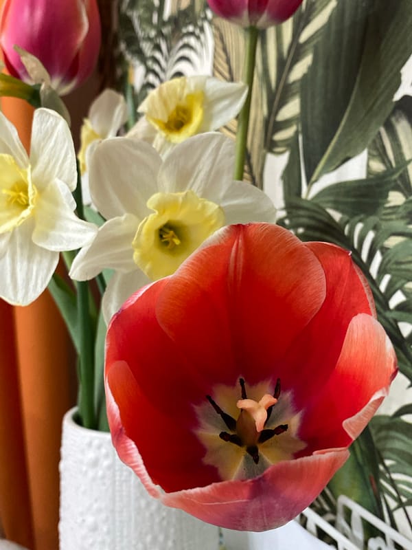 Spring flowers and window views documented in Votkinsk apartment