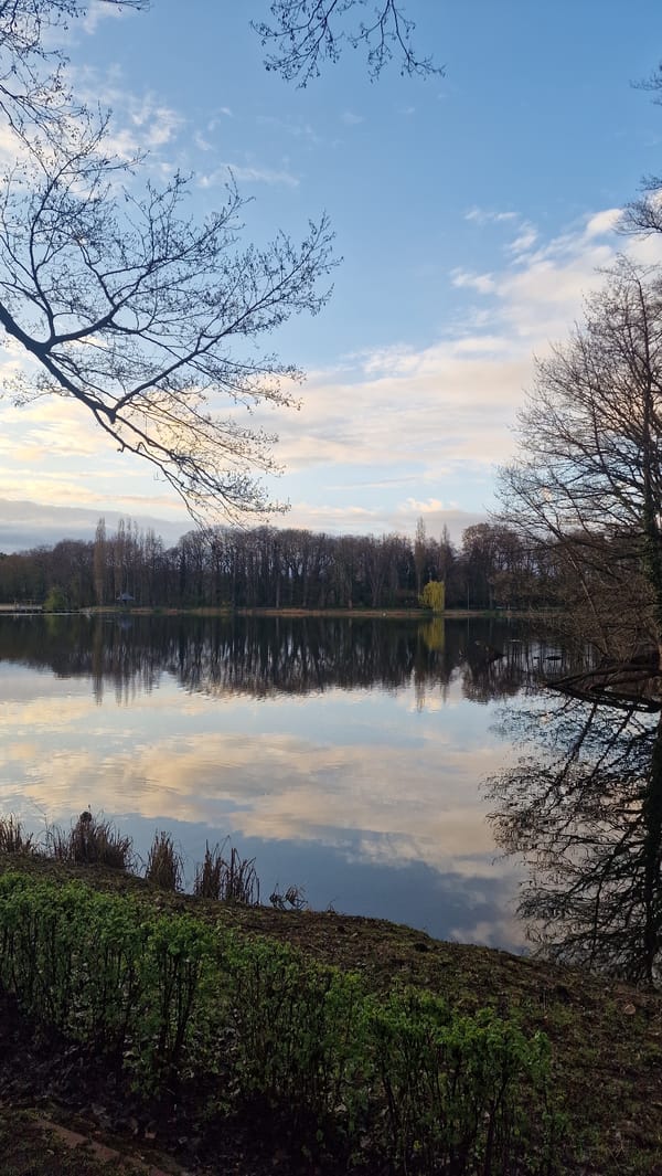 Flipped landscape photo captured at Berlin park with water reflection
