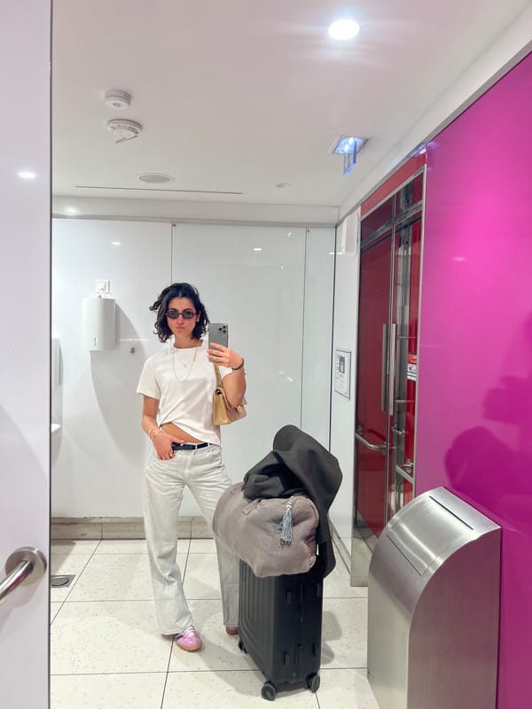 Traveler takes mirror selfie at Paris-Orly Airport restroom