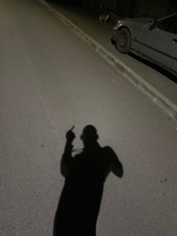 Routine nighttime street life documented across Sofia residential district