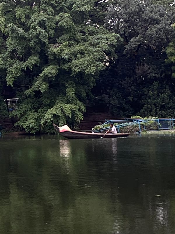 Morning lakeside life captured in Dhaka: vendors, boats, quiet moments