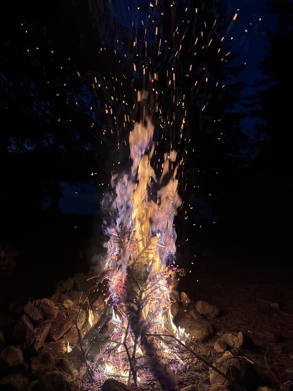 Woodland cookout in Sarnitsa: firewood, lakeside food spread, campfire