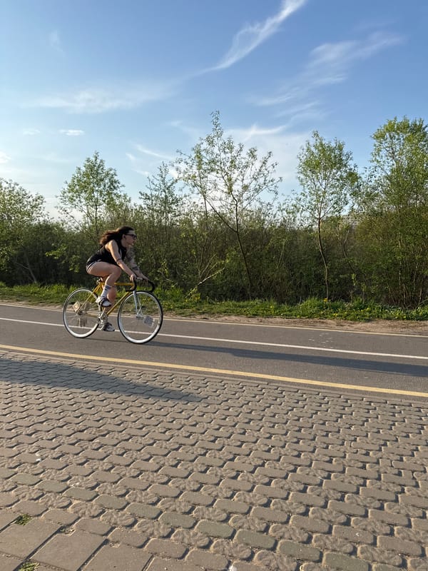 Cyclist and swan share peaceful park moments in Minsk