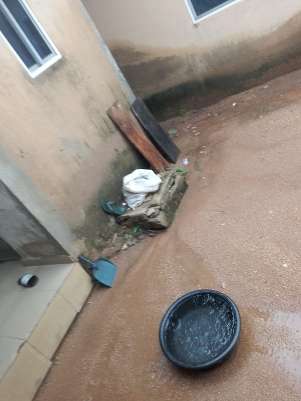 Witness documents rainy morning cleanup scene with scattered household items