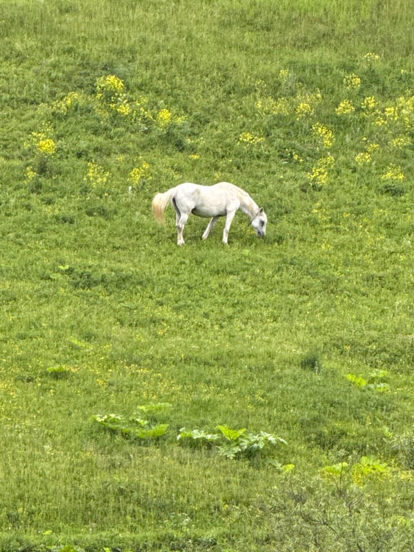 Rural life moments captured in Russian village Ляльшур