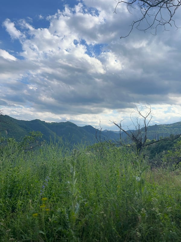 Car journey through Bulgarian mountains documented in 14 memories